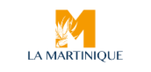 Logo Martinique – destination touristique accompagnée sur des dispositifs digitaux