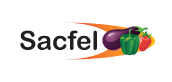 Logo Sacfel – distributeur de fruits et légumes accompagné sur des dispositifs digitaux