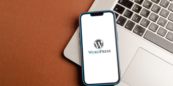 visuel de logo WordPress - agence Colombo, agence WordPress 
