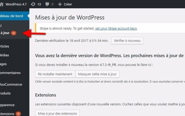 Article de blog Pourquoi préférer un site WordPress par l'agence Colombo- ecran de mise à jour WordPress