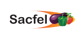Logo Sacfel – distributeur de fruits et légumes accompagné sur des dispositifs digitaux