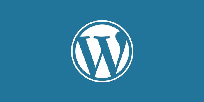 Actualités - création site Worpdress